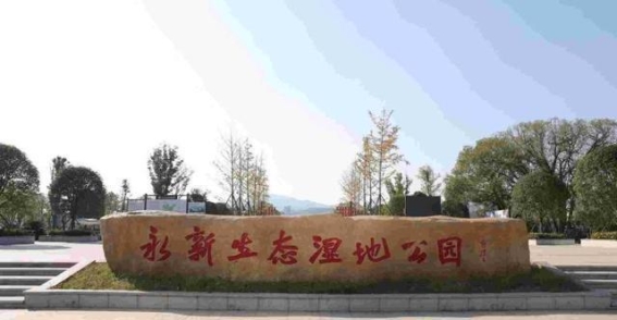 江西永新：从荒滩到绿洲，生态与人文交响的蜕变之路
