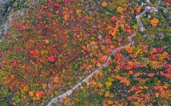 太原天龙山公路的秋日魅力