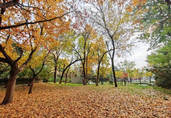秋风轻拂下的西海子公园，五彩斑斓的秋日美景