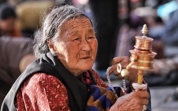 磕长头：藏族朝圣路上的坚守与信仰之光