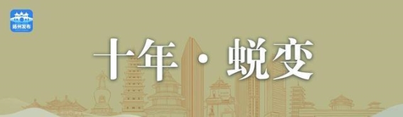 十年蝶变：扬州运河三湾生态文化公园的蜕变与辉煌