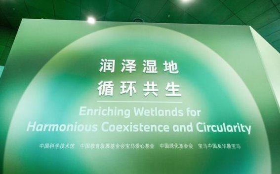 湿地与科技共生：走进绿色未来的生态奇迹
