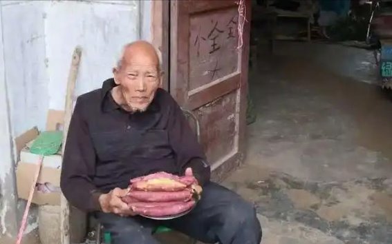 红薯再度成为健康热议焦点！医生提醒：吃红薯时你不得不注意这几点
