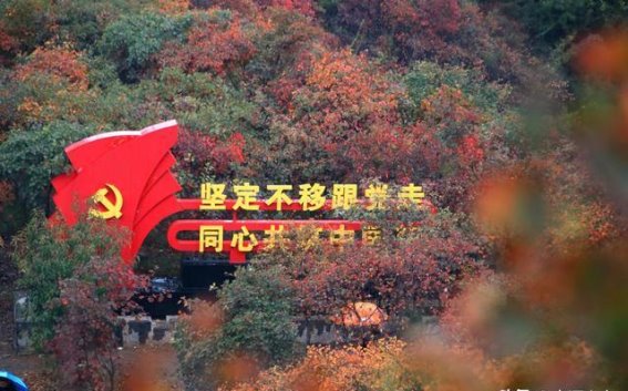 雨中红叶与红色传承的交织