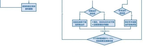 超重肥胖的标准和减肥建议
