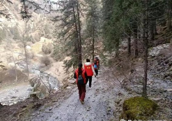 白杨沟峡巡护日志：走进祁连山的秋日世界