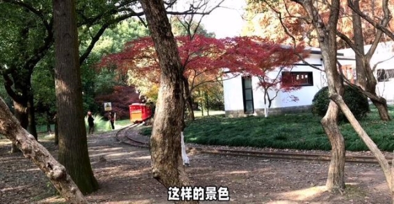佘山镇：从山水到现代，发现不一样的魅力