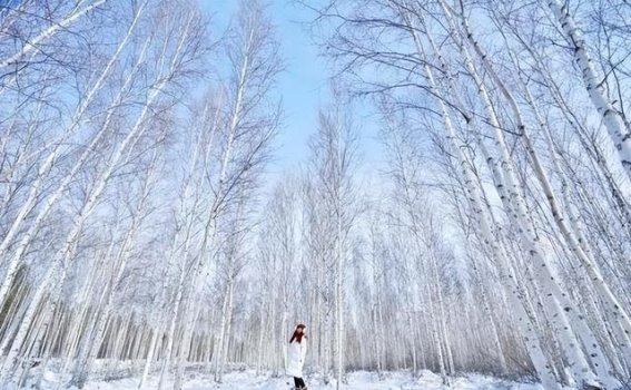 银色呼伦贝尔的冰雪奇缘之旅