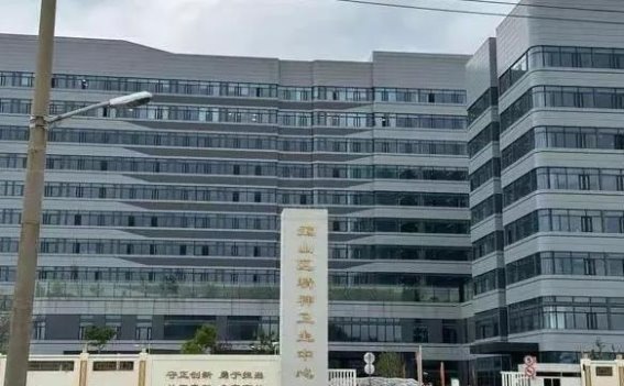 精神卫生中心的生活：八年奋斗与挣扎