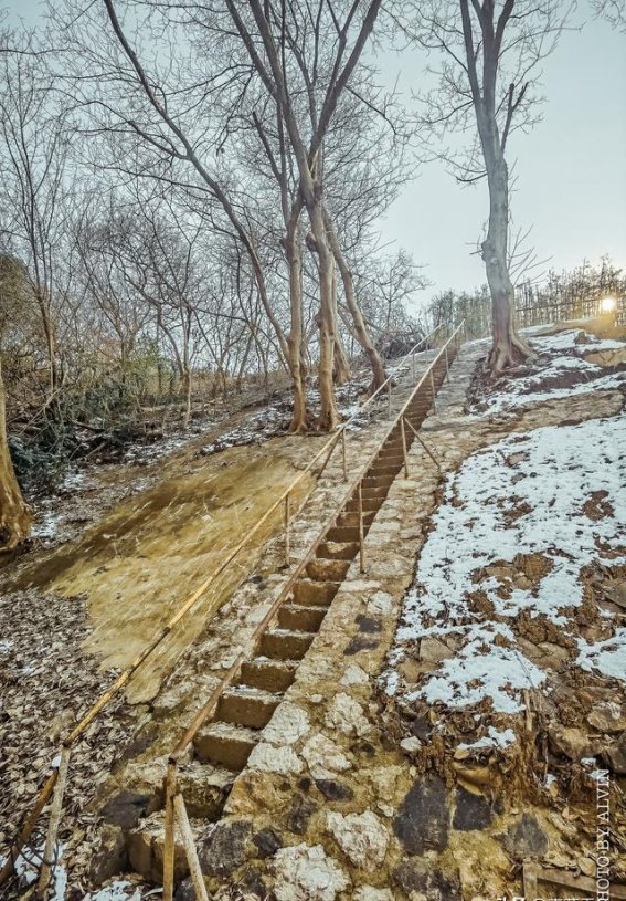 镇江伯先路：在历史与烟火气中漫步