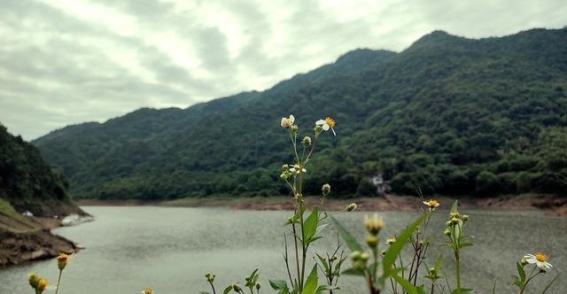 青狮潭水库的变迁与重生