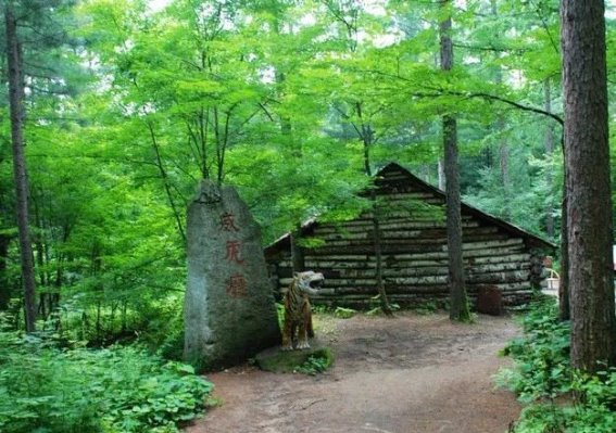 穿越自然与历史的奇迹：中国五大必游山岳胜地