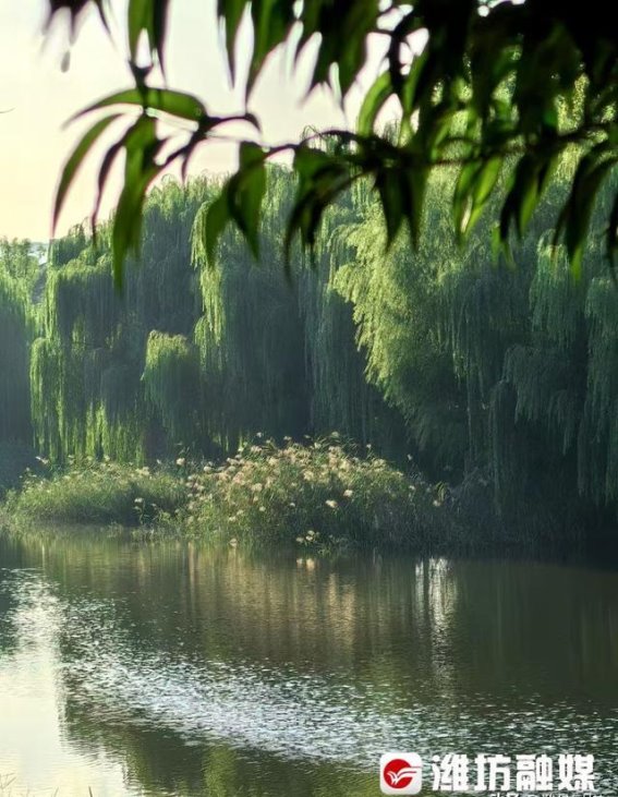 光影中的秋韵：倾听季节的低语