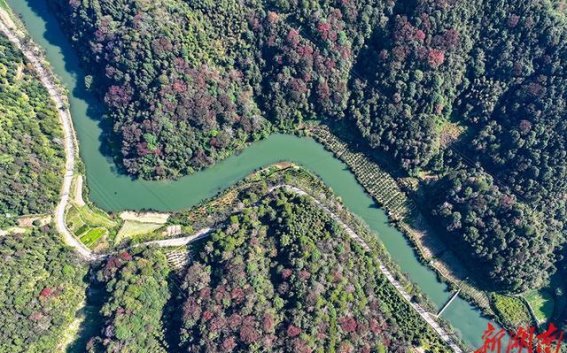 秋韵如画：通道侗族烂阳村的五彩秋景