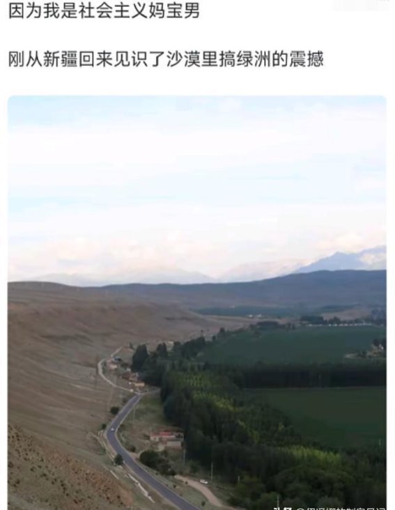 外国人为何对中国赞不绝口？探秘中国魅力的真实体验