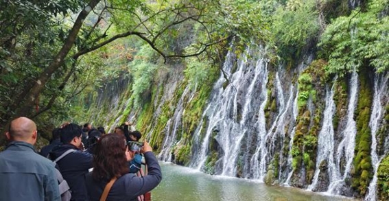 初冬后的后柳水乡：一幅别样的山水画卷