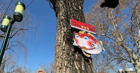 趵突泉“锦鲤减肥中心”设立，倡导游客文明观赏