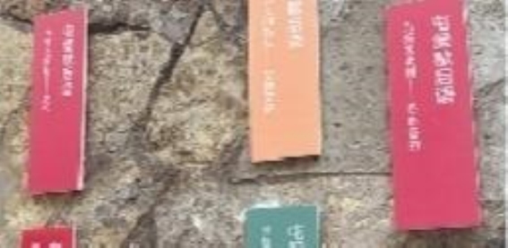 屯堡方言的起源与演变：文化交融中的语言变奏