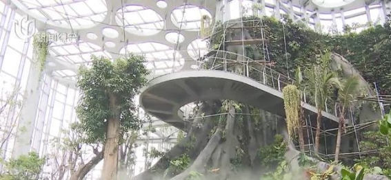全新揭晓：上海温室花园门票价格曝光，期待已久的“魔都花园”终于迎来开放日