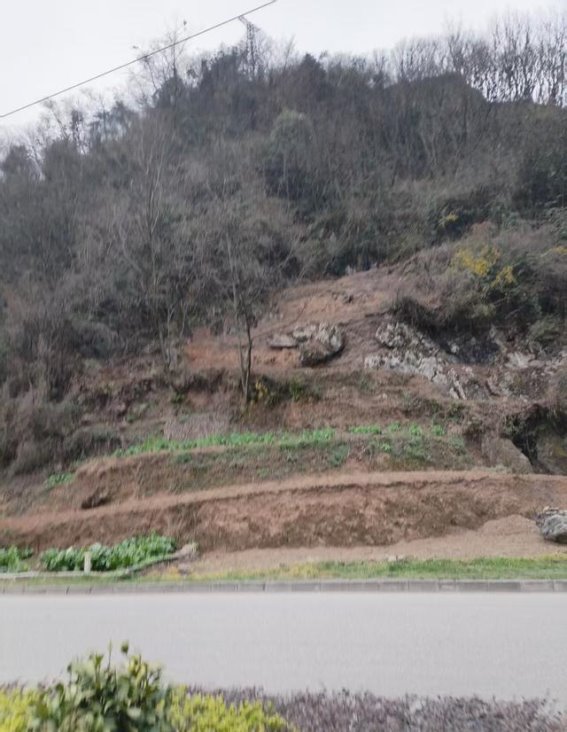山在呼号：为了种那几棵菜，毁掉植被，值吗？