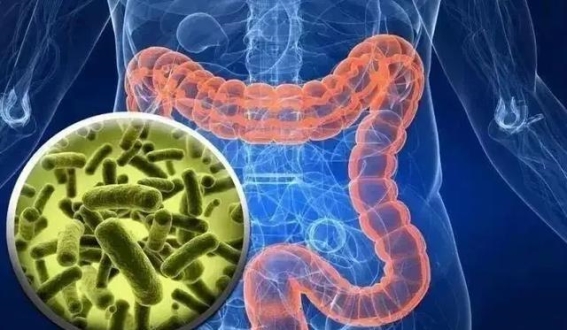 服用叶酸、B6、B12仍无法降低同型半胱氨酸？可能是这6个因素在作祟