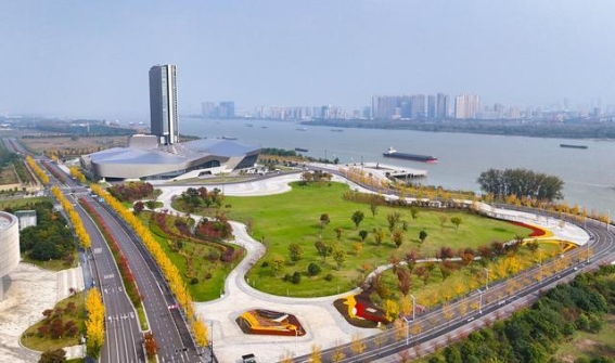 长江北岸的金色秋韵：秋意浓浓的生态之旅