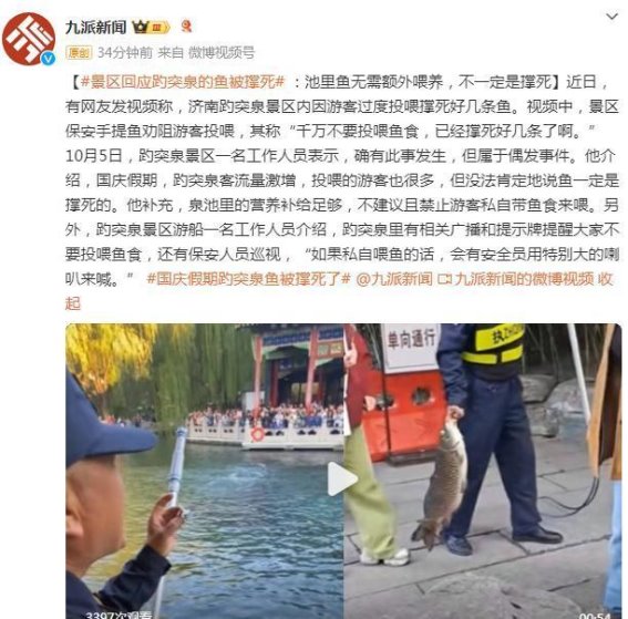 人与自然的共生：济南趵突泉投喂事件的反思