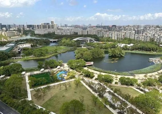 在杨浦的生态乐章中发现自然的魅力