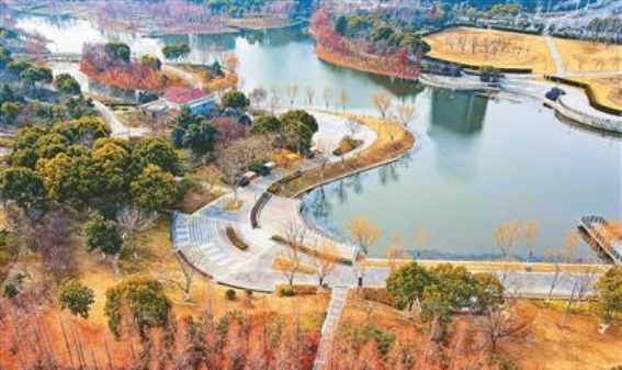 如皋龙游河生态公园：冬日里的绿意与宁静