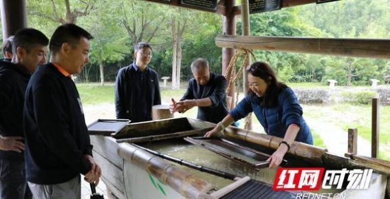 衡阳文旅焕发新活力：蔡伦故里再现古法造纸魅力