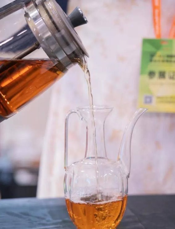 茶饮品入纲：解码古老东方树叶的健康密码