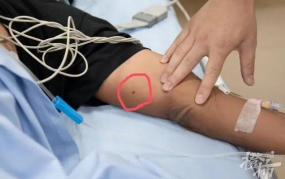 秋日游玩中的“马蜂惊魂”：夫妻的危机与应对