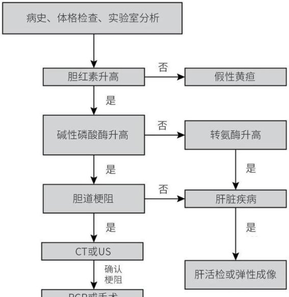 黄疸的病因、分类和诊断