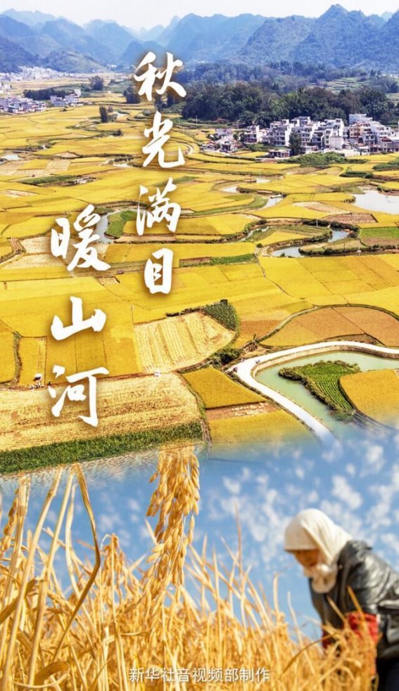 秋韵丰收，四季如歌