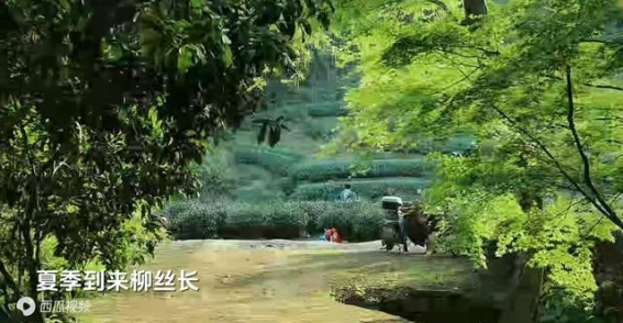 四季更替中的心灵写照