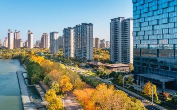 冬日盛泽：在梧桐落叶中邂逅属于吴江的温暖时光
