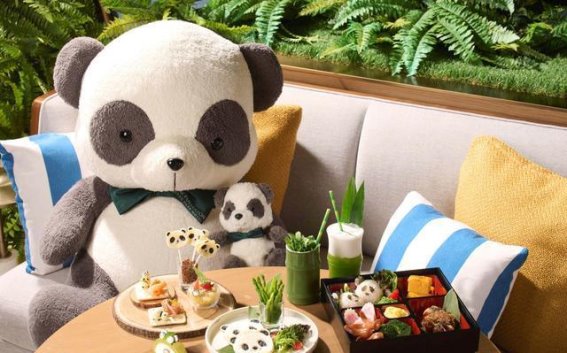 香港大熊猫打卡旅游全攻略：春节与熊猫同行的完美旅程