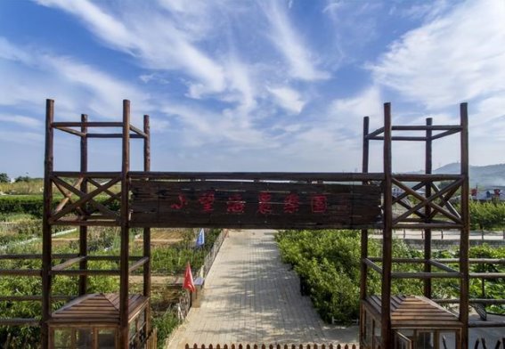 辽宁小望海村：在田园的怀抱中寻找慢生活的乐趣