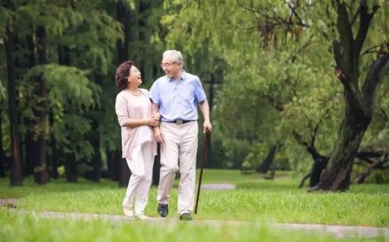 饭后散步习惯对老年人健康的潜在影响