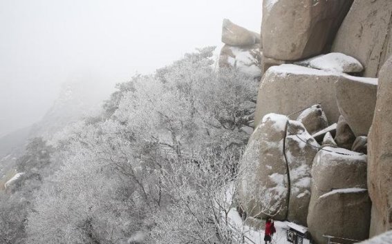 邹城峄山雪后雾凇，如梦如幻的冰雪奇景