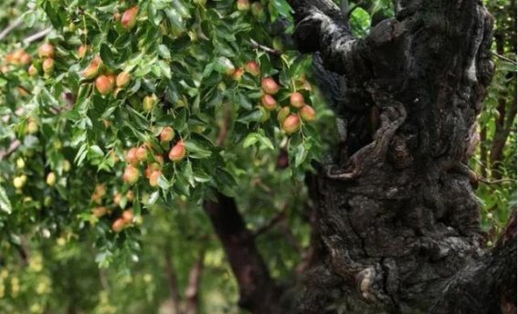 跟着《国色芳华》一起游山东，探索美丽景点