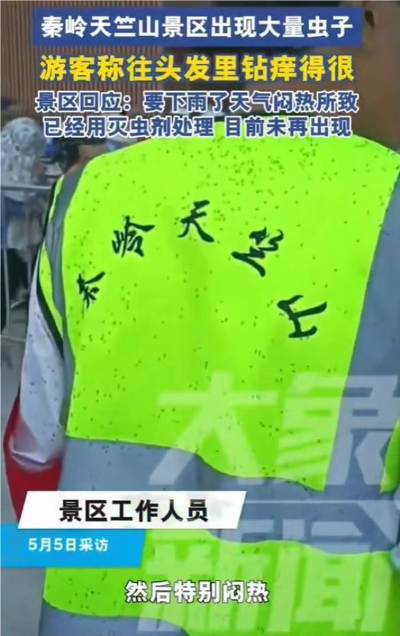 秦岭天竺山景区虫害事件背后的天气与管理挑战