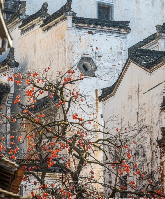 走进篁岭：一场唤醒乡愁的冬季民俗之旅