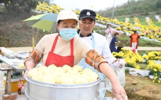 老君坝菊花园：从乡村到旅游打卡地，见证菊花经济的崛起