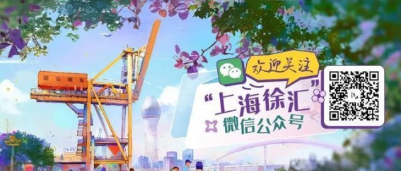 书院之美：徐家汇图书馆的文化新地标