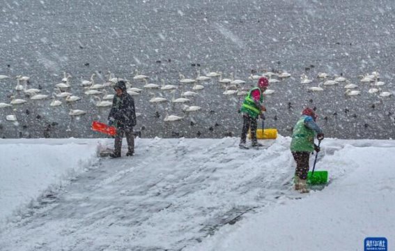 降雪天气带来的冬季景色变化