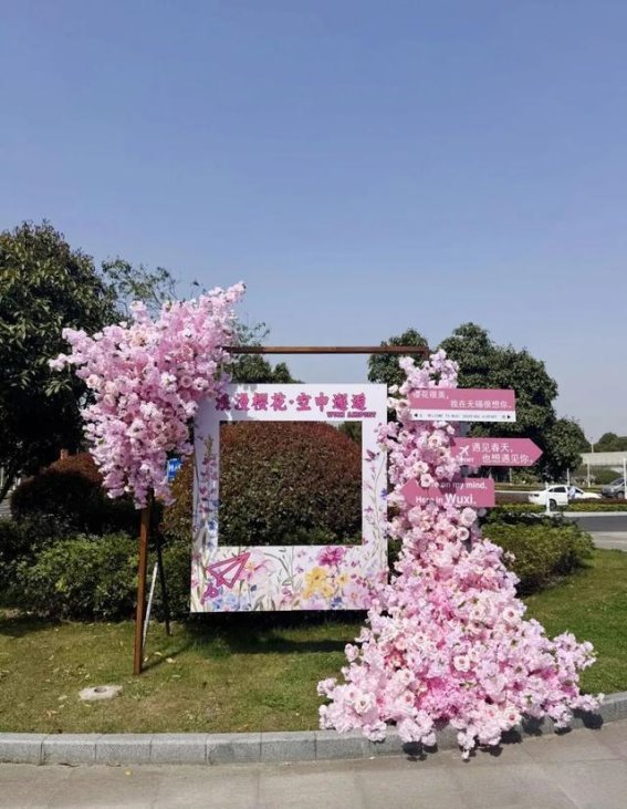 无锡硕放机场的樱花季：每一次归来，都是浪漫的邂逅