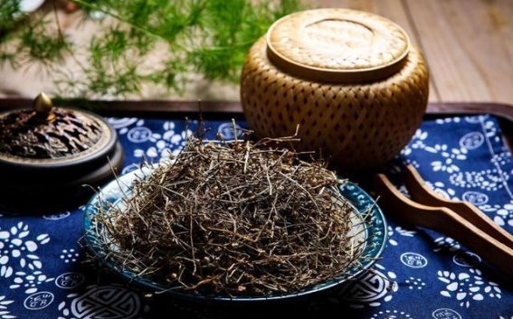 慢性前列腺炎的五年顽症与白花蛇舌草的疗效