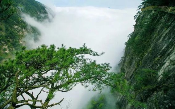 元旦登高，明月山邀你一同迎新年