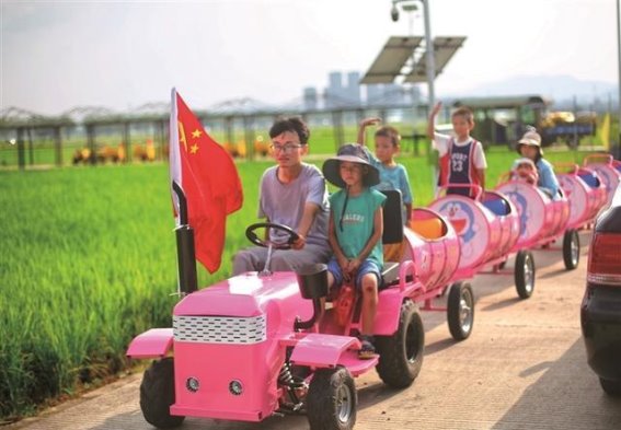 国庆假期与乡村的美丽邂逅